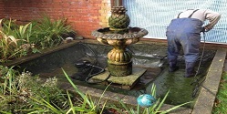 Aquarium Cleaning service 1 fish pond filter cleaning 1